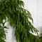 9ft. Pre-Lit Artificial Real Touch Norfolk Island Pine Garland with 50 Warm White LED Lights and Natural Look